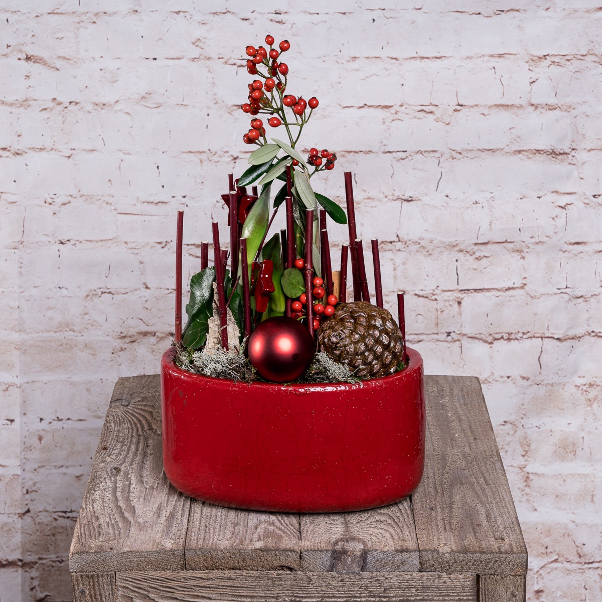 Dekorative Amaryllis im roten Topf Bild 1