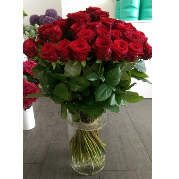 Rote Rosen pur Bild 2